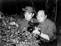 镜头追踪黑社会